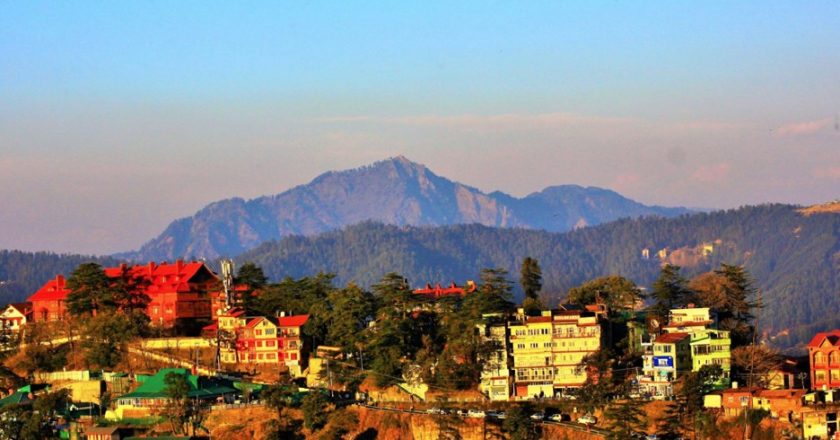 Planning to stay at the 5-star hotels in Shimla? Book your room at these hotels