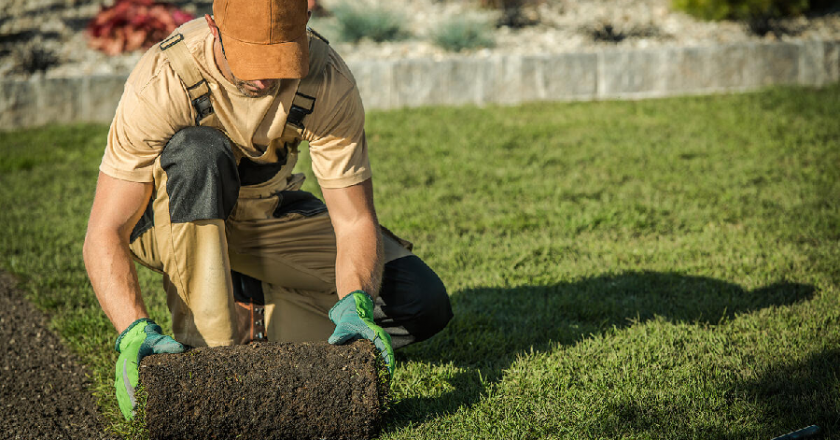 Checklist For Landscape Maintenance