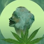 The Science Behind How THC-O Works and Its Effects on the Brain and BodyThe Science Behind How THC-O Works and Its Effects on the Brain and Body