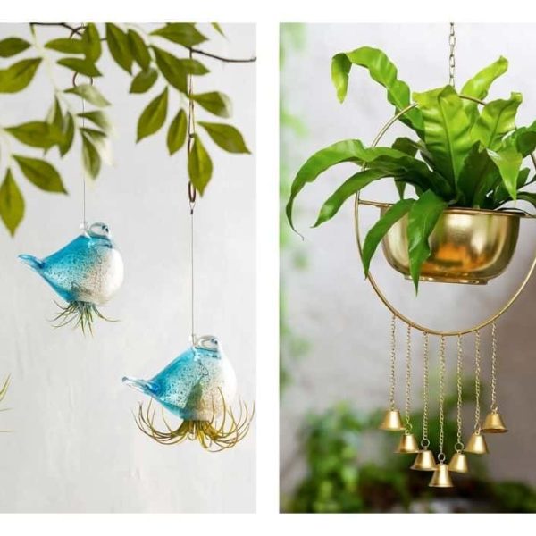 Eco-friendly Flower Pots: Sustainable Choices for the Green Thumb